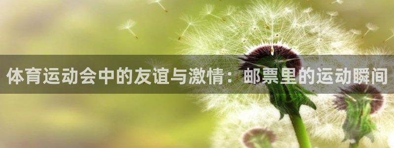 风速体育app下载安装最新版本：体育运动会中的友谊与激情：邮票里的运动瞬间