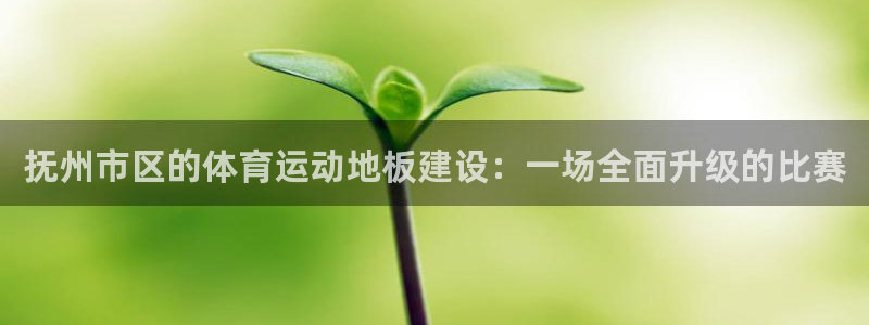 风速体育app下载安装最新版本：抚州市区的体育运动地板建设：一场全面升级的比赛