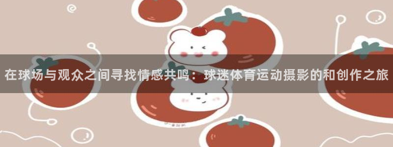 风速体育官网：在球场与观众之间寻找情感共鸣：球迷体育运动摄影的和创作之旅