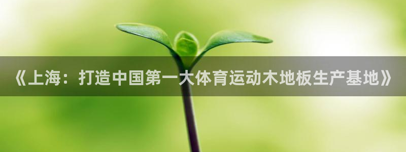 风速体育app下载安装最新版本：《上海：打造中国第一大体育运动木地板生产基地》