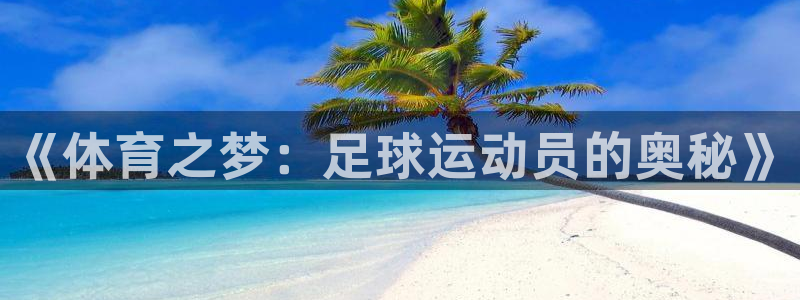 风速体育：《体育之梦：足球运动员的奥秘》