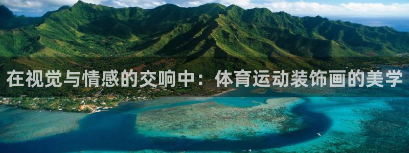 风速体育app：在视觉与情感的交响中：体育运动装饰画的美学